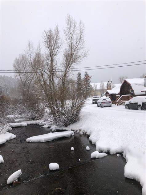 See 73 traveler reviews, 66 candid photos, and great deals for rio colorado cabins, ranked #8 of 26 specialty lodging in red river and rated 4 of 5 at tripadvisor. Happy New Year 2021!! | Rio Colorado Cabins