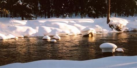 Snowy Riverbank 2 Free Photo Download Freeimages