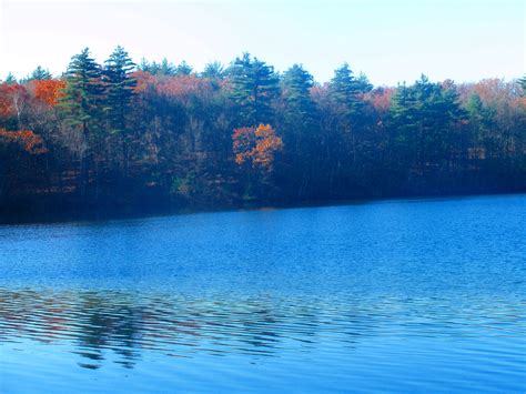 Walden Pond In Fall Near Boston Massachusetts Walden Pond Natural