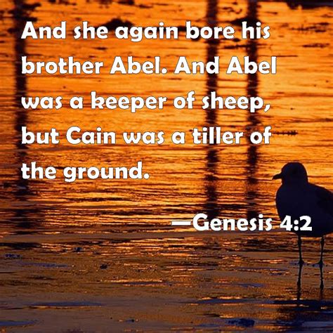 Genesis 42 And She Again Bore His Brother Abel And Abel Was A Keeper