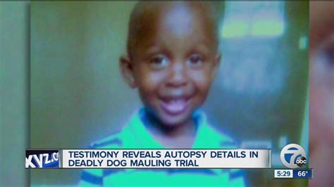 Testimony Reveals Autopsy Details In Deadly Dog Mauling Trial Youtube