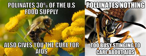 Good Guy Bee Vs Scumbag Wasp Funny