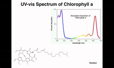 Uv Vis Spectroscopy Uv Vis Spectrum Of Chlorophyll Part 6 Of 9 Youtube