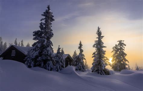Wallpaper Winter The Sky Snow Nature House Dawn Tree Morning
