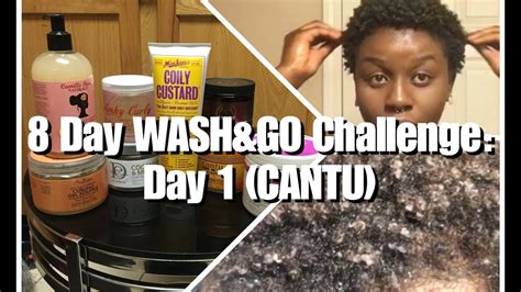 8 Day Wash And Go Challenge Day 1 Cantu ~ 4c Low Porosity Hair