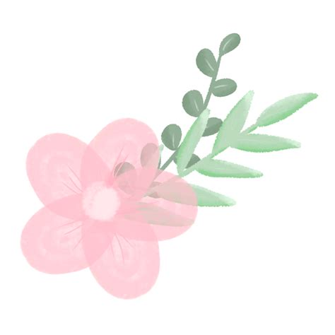 Flowers Aesthetic Png Download Free Png Images