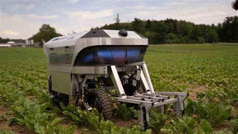 I Robot Agricoli Autonomi Controllano Le Erbacce Senza Pesticidi
