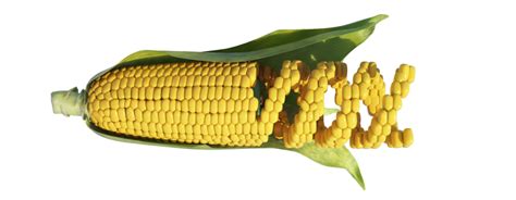 An ogm file contains a matrix book created by origin, a scientific and engineering data analysis and graphing application. OGM | Mérieux Nutrisciences Italia
