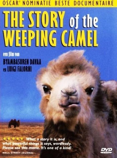 This is her first calving. bol.com | Story Of The Weeping Camel (Dvd), Odgerel Ayusch ...