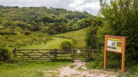 Pulpit Hill And Nature Walk Chilterns National Trust