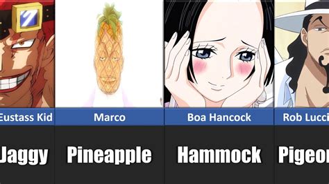 Funniest One Piece Characters Nicknames Given By Luffy Youtube