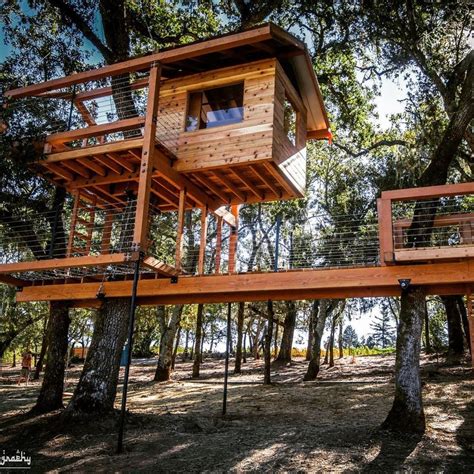 Stunning Tree House Designs You Never Seen Before Magzhouse