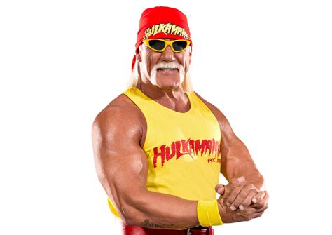 Hulk Hogan Wwe Wiki Fandom