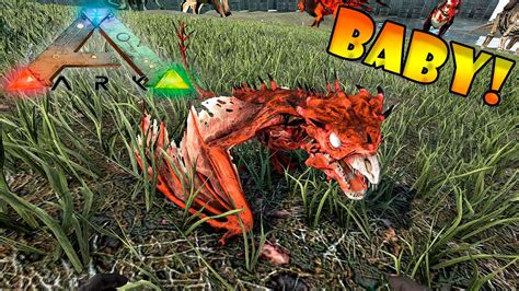 EVOLUÍMOS NOSSO WYVERN PODER DO REX APEX ARK DINO OVERHAUL X