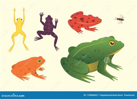 Exotic Amphibian Set Frogs In Different Styles Cartoon Vector