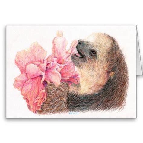 Sloth Eating Hibiscus Flower Sloth Art Sloth Eating Sloth