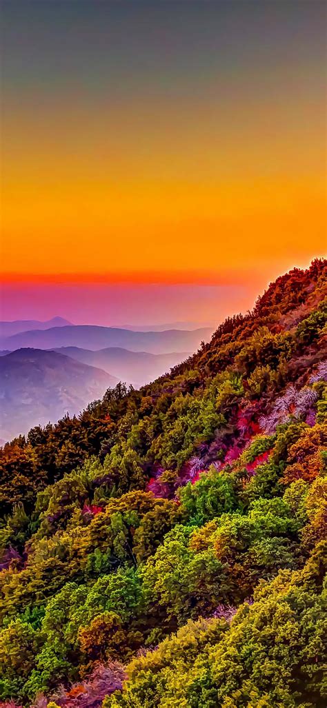 Mountain Colorful Forest Nature Sunset Scenery Ultra Hd Iphone