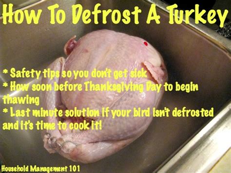 All that waiting does have a payoff, though. How To Defrost Turkey - Make Sure You Start Soon Enough ...