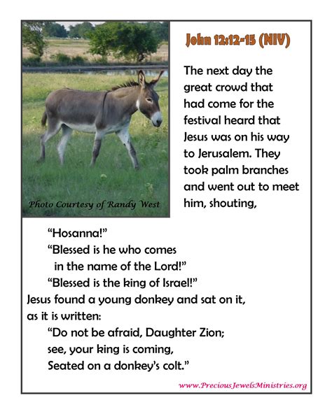 On A Colt The Foal Of A Donkey Precious Jewels Ministries