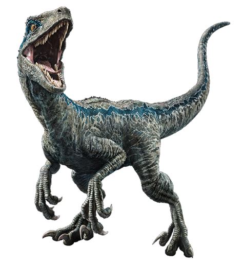10 Velociraptor Dibujo