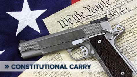 Constitutional Concealed Carry Reciprocity Act Of 2017 Hits The Senate