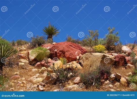 Desert Rock Garden Stock Image Image Of Balance Scenic 20229677