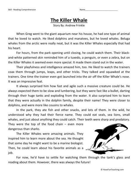 Reading comprehension can't stop laughing: Reading Comprehension Worksheet - The Killer Whale