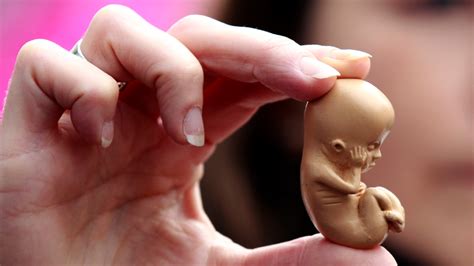 Despues De Un Aborto La Regla Es Irregular - Leyes pro aborto no reducen abortos provocados - Unidos Por la Vida