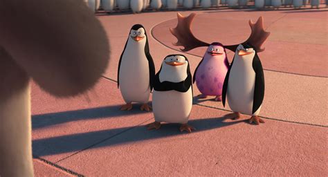 Penguins Of Madagascar Screencap Fancaps