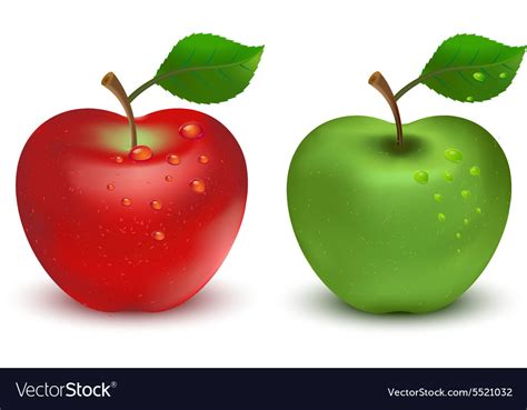 Red Apple And Green Apple Royalty Free Vector Image