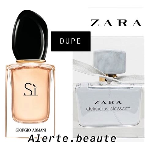 Zara Perfume Dupes Updated 2023 List Atelier Yuwaciaojp