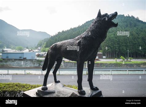 Una Estatua Conmemorando La última Honshū El Lobo Canis Lupus