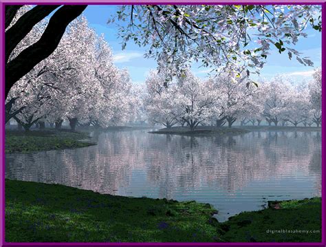 We did not find results for: photo 04n.gif | Spring wallpaper, Spring desktop wallpaper, Cherry blossom wallpaper