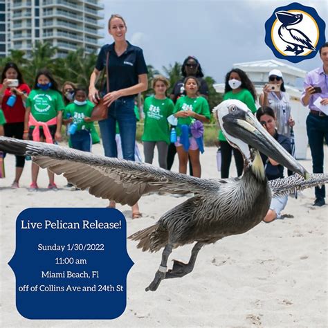 Pelican Harbor Seabird Station