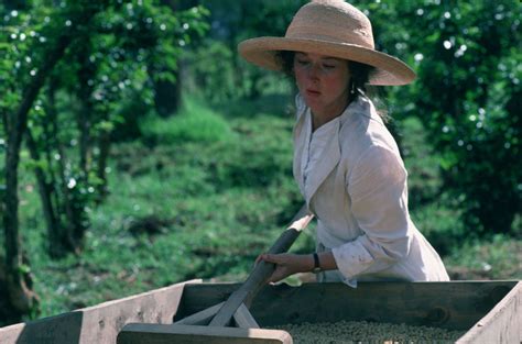 The movie tells a life story of danish noblewoman and storyteller karren dinesen blixen, from the time in kenya in 1913 to 1931 in denmark. Out of Africa | Movie Page | DVD, Blu-ray, Digital HD, On ...