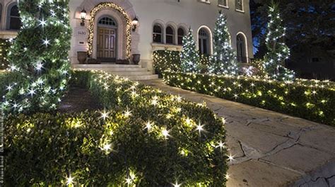 Best Outdoor Christmas Lights For Bushes Merry Christmas 2021