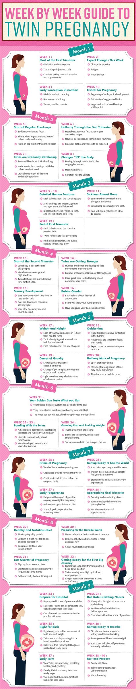 week by week guide to twin pregnancy infographic visualistan