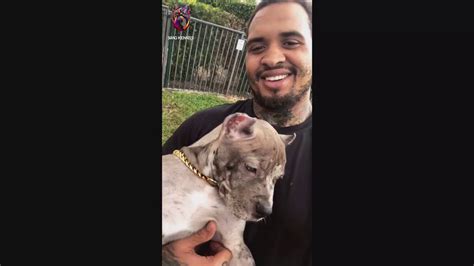 Maurkice Pouncey Just Got His New Puppy From Swag Kenenls