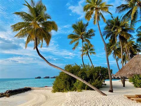Conoce Las 10 Mejores Playas Del Mundo Según Tripadvisor Metro World News