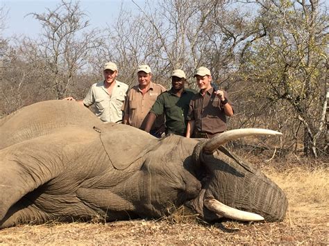 Largest Trophies AfricaHunting Com
