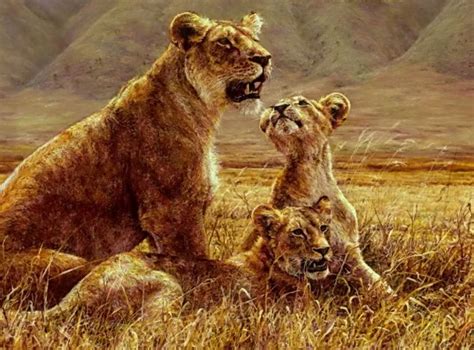 Lioness And Cubs Wildlife Artwork Wildlife Paintings Animals Artwork