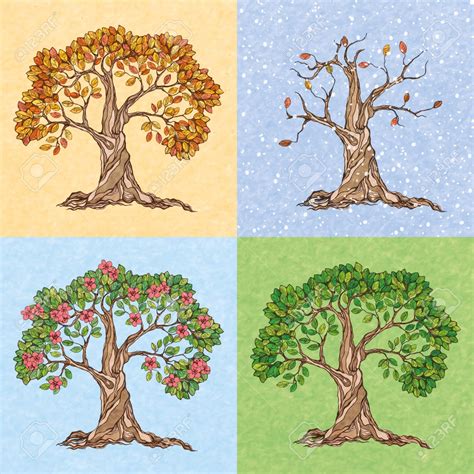 Free Download Four Seasons Summer Autumn Winter Spring Tree Wallpaper