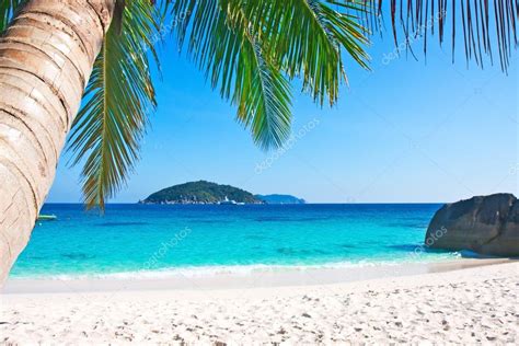 Tropical White Sand Beach With Palm Trees — Stock Photo © Pretoperola