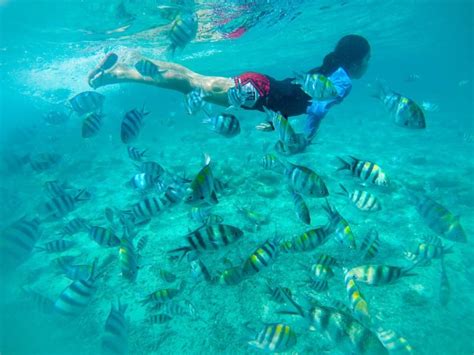 7 World Class Diving Spots In Cebu