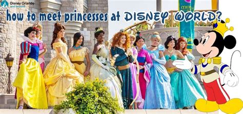 How To Meet Princesses At Disney World Disney