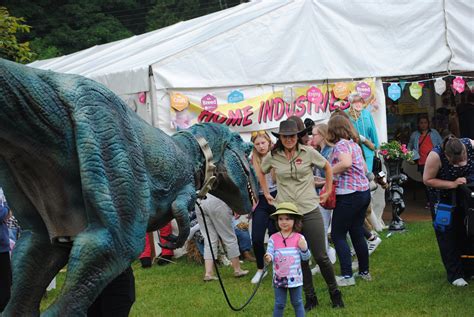Dinosaur Festival Attraction Dinosaur Hire Northern Ireland
