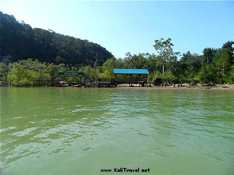 There are no less than 7 different ecosystems and you can also spot a monkey that you can only find on borneo: Bako National Park, Kuching, Sarawak, Borneo | Kali Travel