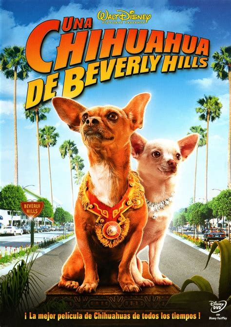 Una Chihuahua De Beverly Hills Doblaje Wiki Fandom