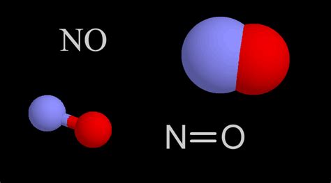 Nitric Oxide Molecule Center For Science Education