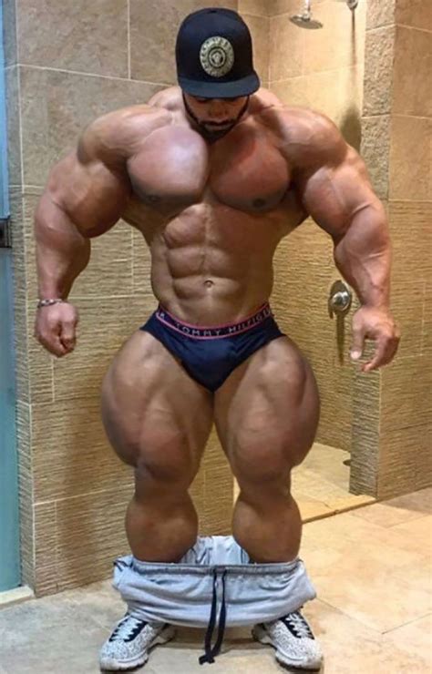 Bara Morph Muscle Telegraph